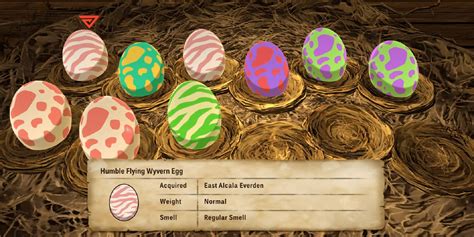 monster hunter stories 2 shiny egg|Monster Hunter Stories 2 Egg Hunting Guide .
